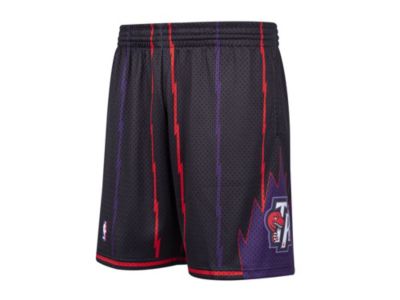 toronto raptors shorts mitchell and ness