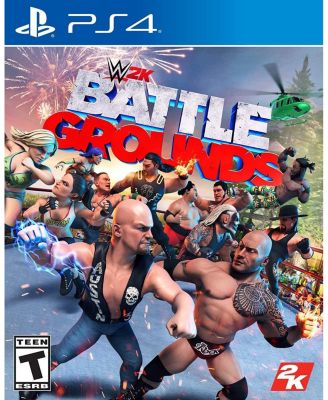 Игра Take 2 WWE 2K Battlegrounds (PS4), многоцветная
