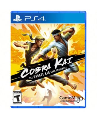 Cobra Kai Karate Kid Saga для PlayStation 4 без цвета