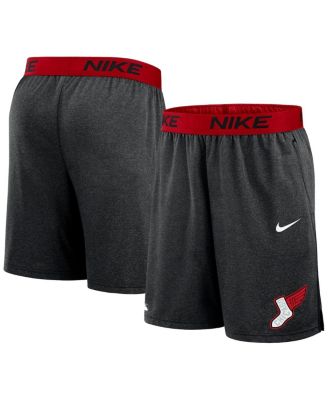 Мужские трикотажные шорты Nike из коллекции Chicago White Sox 2025 City Connect Authentic Collection, цвета древесный уголь/красный