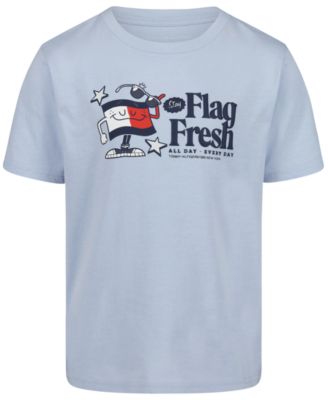 Футболка Tommy Hilfiger для мальчиков от 2 до 7 лет Flag Fresh с коротким рукавом синего цвета