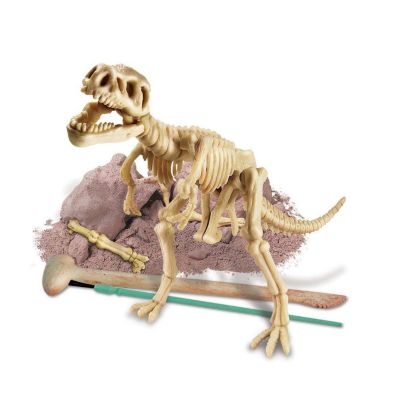 dinosaur toy skeleton