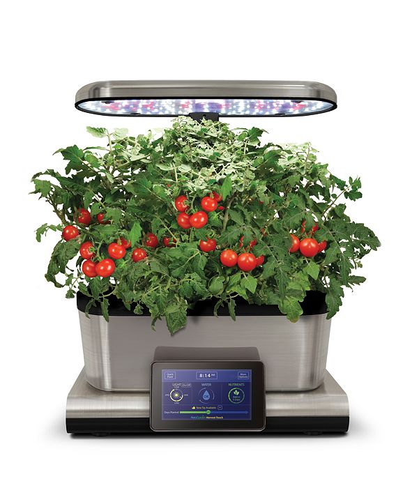 AeroGarden Mighty Mini Cherry Tomato 6Pod Seed Kit & Reviews Small