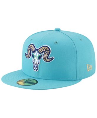hartford yard goats cap