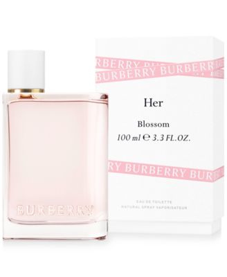 macys burberry perfume