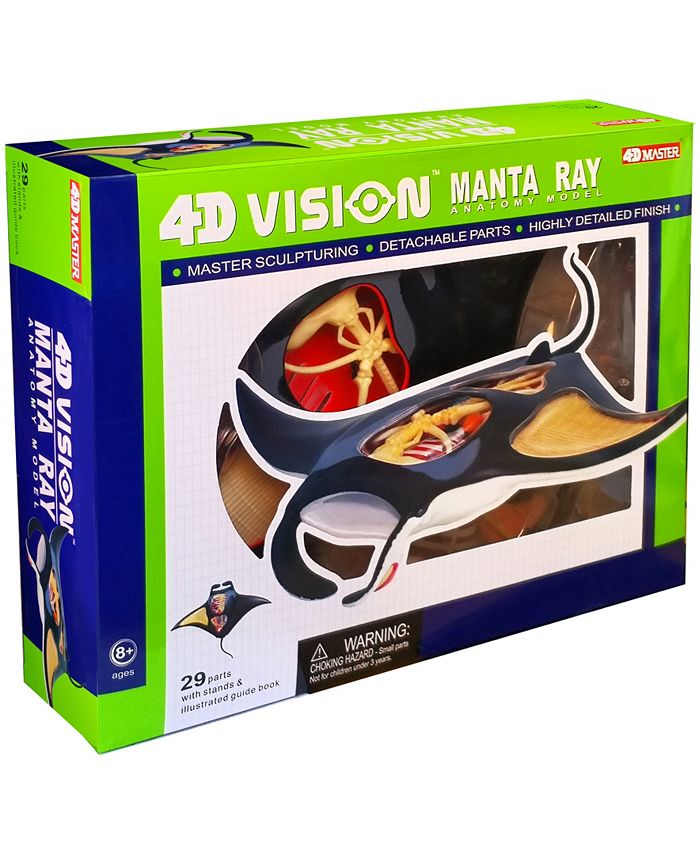 4d master 4d xxray
