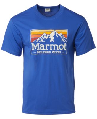 Футболка с коротким рукавом Marmot Mens Mountain Works с градиентным логотипом и графическим рисунком 3590₽