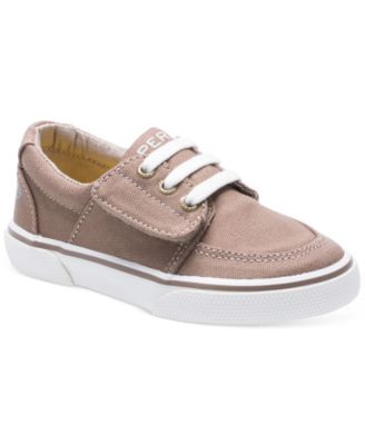 sperry ollie jr