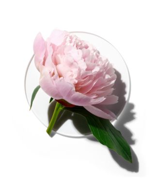 peony picnic clinique