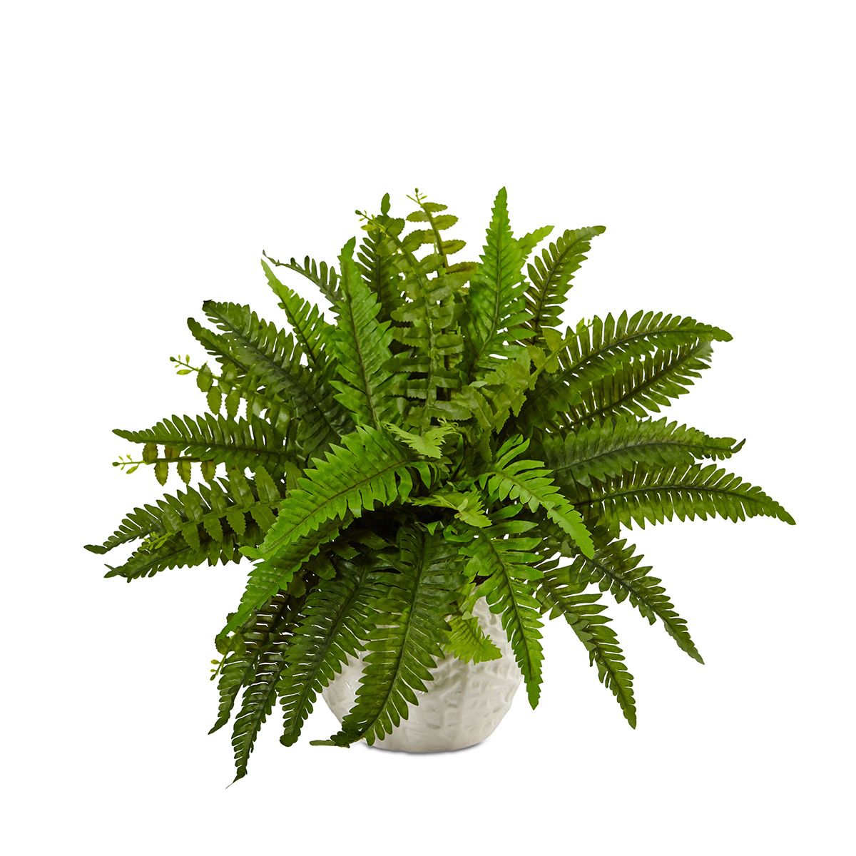 Artificial Plants Macys at William Allan blog